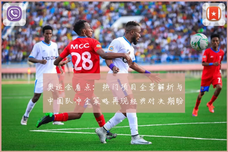 奥运会看点：热门项目全景解析与中国队冲金策略再现经典对决期盼