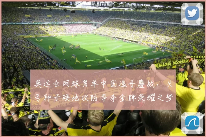 奥运会网球男单中国选手鏖战,头号种子硬地攻防争夺金牌荣耀之梦